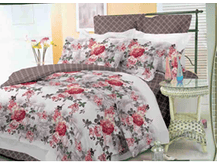 ��� ����� ���� �������� ����.png