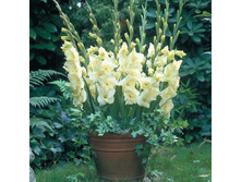 ���������� � ����7.jpg