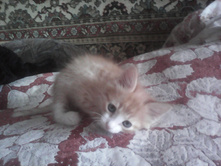 IMG 20160116 104832.jpg