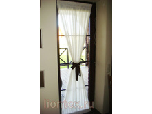 �������� ����� ����