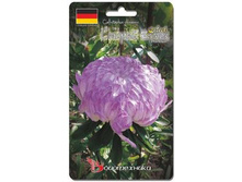 ����� ��������� ����� ������ ����� ������ ����������. 100 ��. 16 ���.jpg