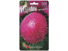 ����� ��������� c���� ������ ���������. 70 ��. 14 ���.jpg