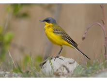 ������ ����������.jpg