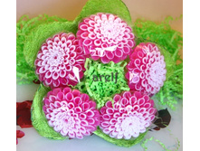 ����� ��������� (5 ������) - 850 ���.