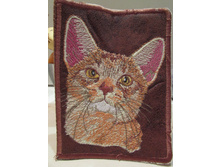 ������� �� ���.������� ������ 11�15�� - 600�