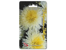 ����� ��������� ����� ������� ������ �������. 30 ��. 22 ���.jpg