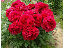 ���� ����� ����� ���. ����.jpg