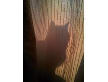 ���� ����