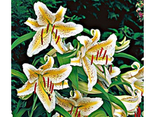 ����� ���� ���� ���. ����.jpg