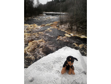 ��� �� ����� �����