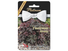 ������� ��������� �������� �����. 8 ��. 38 ���.jpg