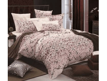 ��� �����2.png