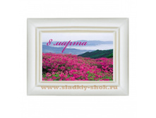 ���������� �������� "8 �����" 80�� � 100��, ���. ���-104�