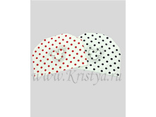 ��������� � ��������