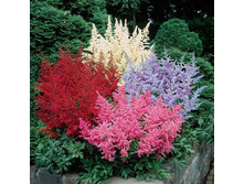 �������� � ����7.jpg