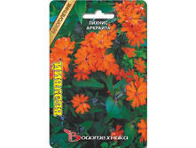 ������ �������� �������. 50 ��. 16 ���.jpg