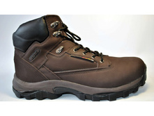 Phoca thumb l 142.jpg