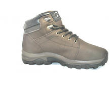 Phoca thumb l 5459 25.jpg