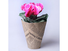 ���������� ������ ����� 23 �� 620261 180�.jpg