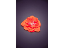 ������� ��� ����� 030157���������.jpg