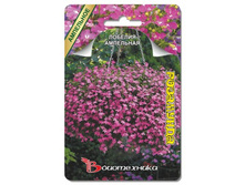 ������� ��������� ���������. 1000 ��. 16 ���.jpg