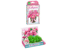 8 ����� ����� ��� 120�.+%