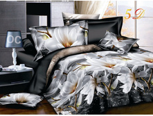 ����-����� Z-545.jpg