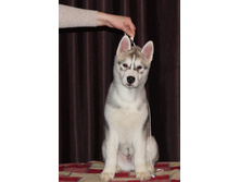 ������ �����1.jpg