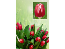 ���� ��  37 ���. ����� ������ 10 ��!!!