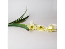 ����� ����� ��������, �����, 29291 130�.jpg