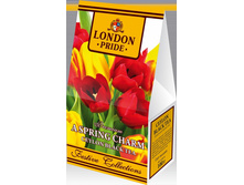 ��� ������ ����� ������ �������� ���������� 100� 73,00.jpg