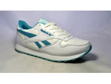 Phoca thumb m 5482 33.jpg