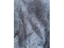 IMG 20160109 121756.jpg