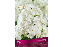 ����� ����������� ���� ������.jpg