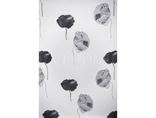 ������� ������ �����.jpeg