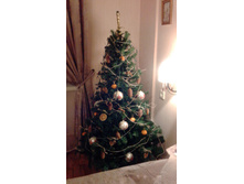 IMG 20151230 210030.jpg