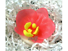 ������� ������� - 150 ���.