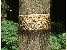 ������ ���� ��. ����.jpg