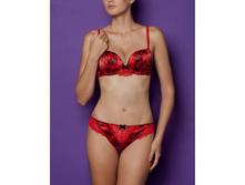 ����� ������ 215631�������.jpg