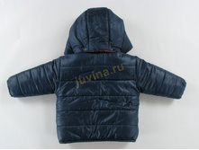 WW1619KU0B94X-TYG17-TIGER IN SPACE t (����������).jpg