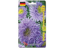 ����� ��������� ����� ���������� ���� �������. 40 ��. 20 ���.jpg