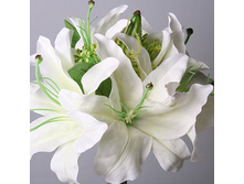 ������� ����� ����� �� 3-� ��., ���. 5760-1 105�.jpg