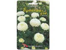 ����� ��������� �������� ��� ������. 40 ��. 18 ���.jpg