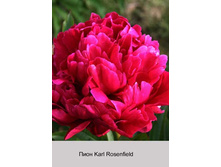 ���� Karl Rosenfield ���� �� 1 �� 201�.00�.