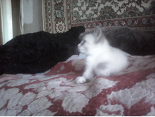 IMG 20160116 110819.jpg