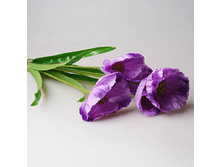 ����, ����� ���������� ���. 9132 175� ����� ���� 150�