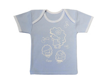 ������� 8034 � �������, ��������, ������ 36 169.99 ���.