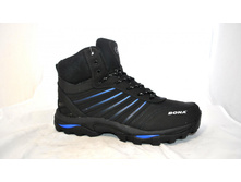 Phoca thumb l 1856 34.jpg