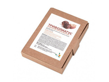 ����������� ������� "�����������", 100 ��. ������