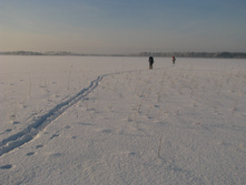 IMG 5845.jpg